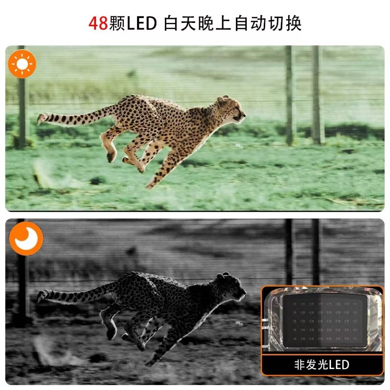 HOT SALE DL001 Hunting Camera  - đánh giá và giá Outdoor Hunting Video Camera
