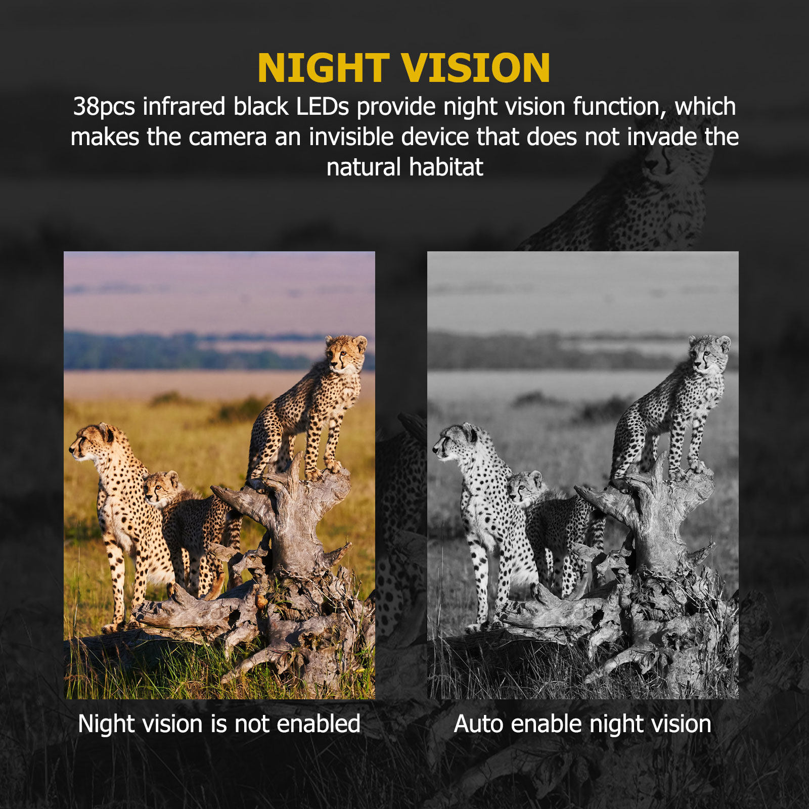 Hunting Game Camera 12Mp Pir N - đánh giá và giá Outdoor Hunting Video Camera